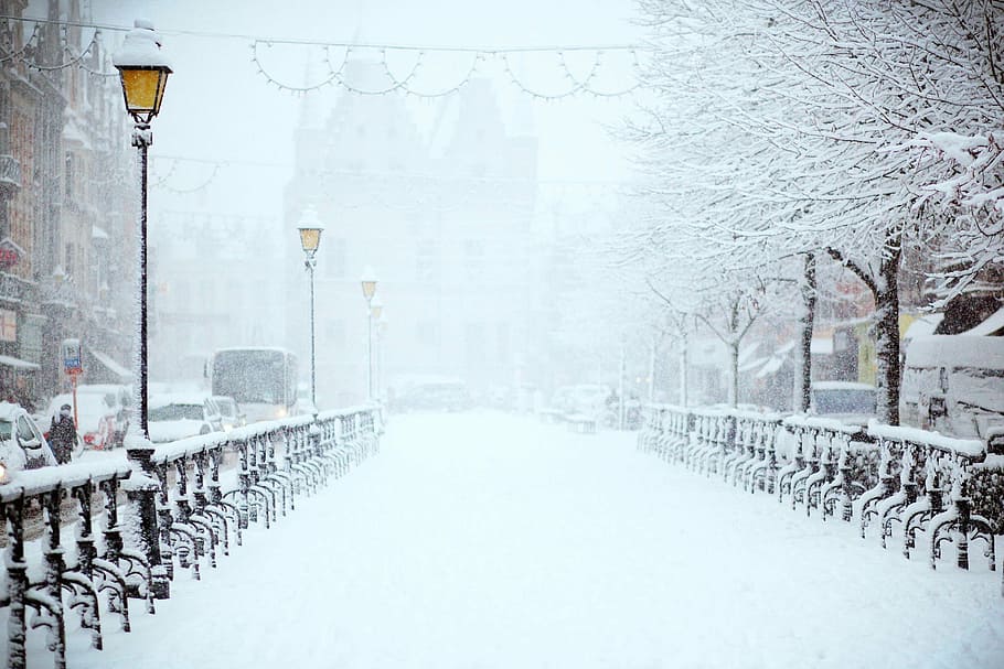 bridge and trees with snow, mini, city, near, tower, winter HD wallpaper