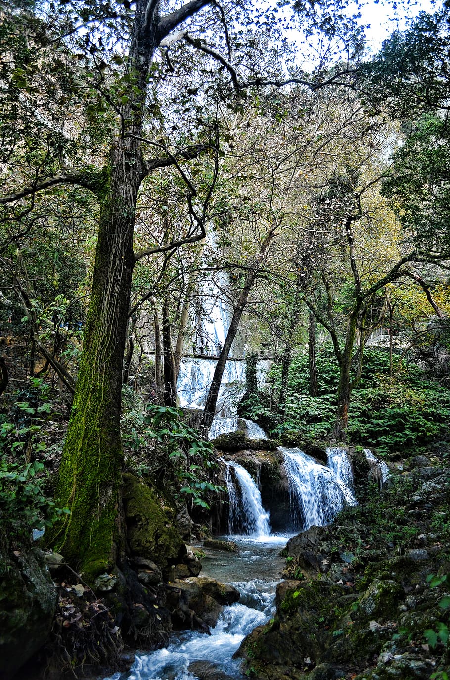 waterfall, cola de caballo, river, park, environment, mountain HD wallpaper