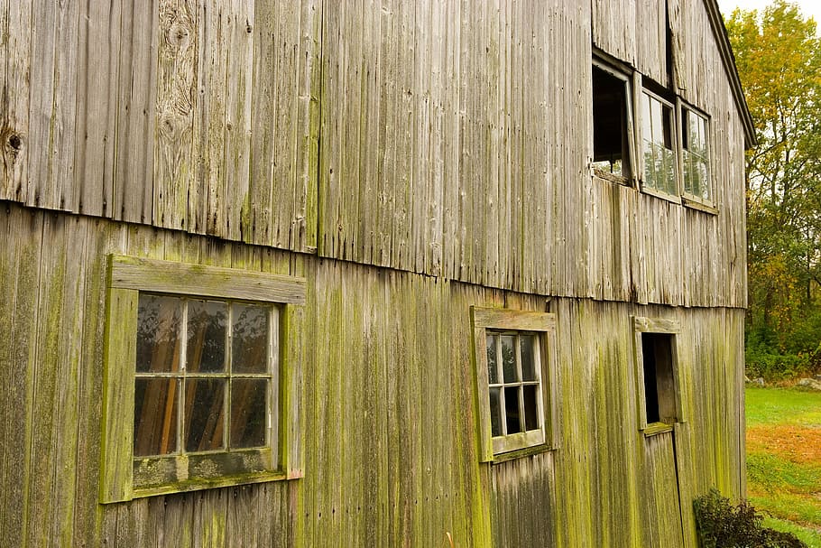 Barn, Dairy, Agriculture, Agriculture, Building, Wood, farming