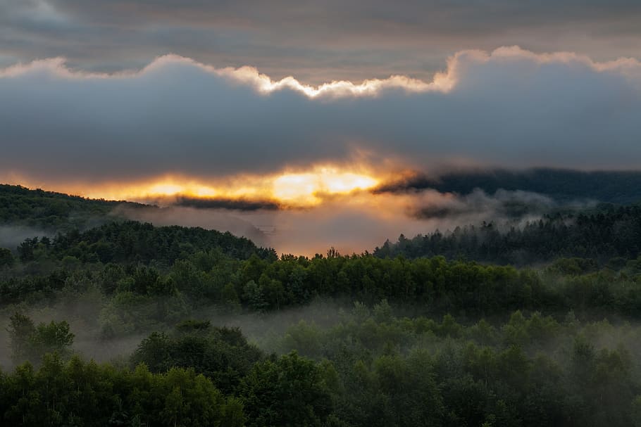 mountain, trees, plant, forest, clouds, sky, nature, fog, sunset HD wallpaper