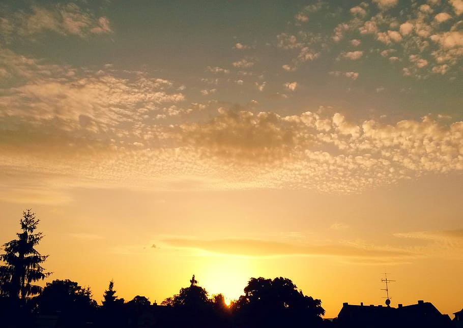 sun, germany, sunshine, sky, sunset, cloud - sky, tree, plant HD wallpaper