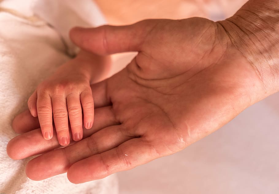 person holding baby's left hand, hands, finger, human, generation change HD wallpaper