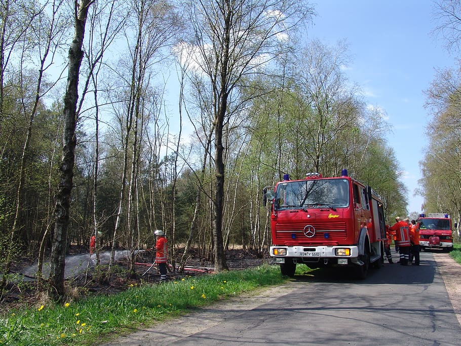 fire, brand, fire fighting, fire delete, tree, transportation HD wallpaper