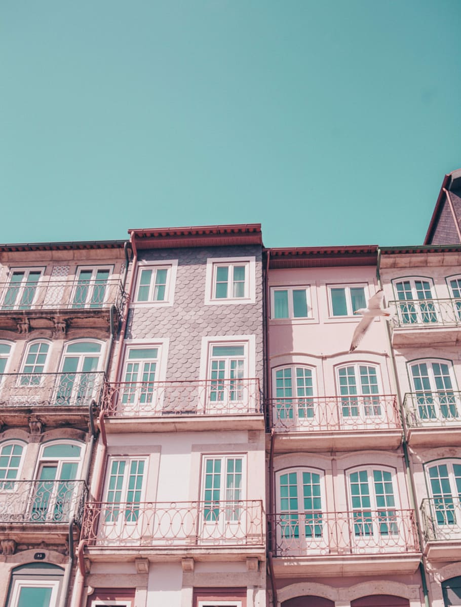 several pink houses with glass windows, beige high rise houses HD wallpaper