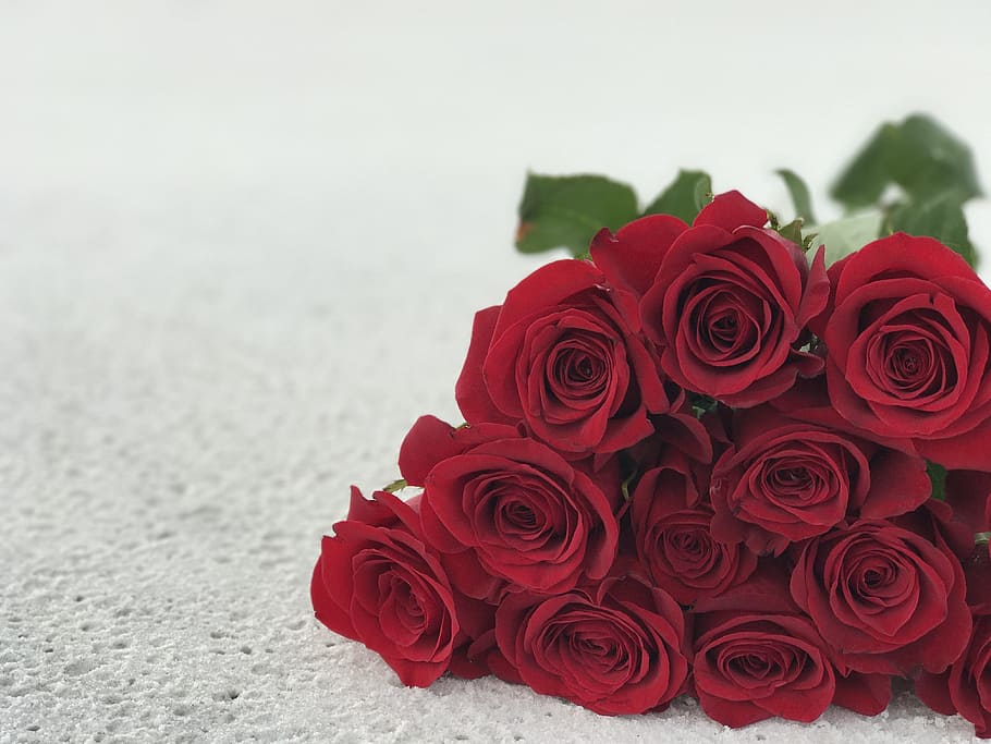 Roses, Sand, White, Texture, Flower, red, romance, rose - flower HD wallpaper