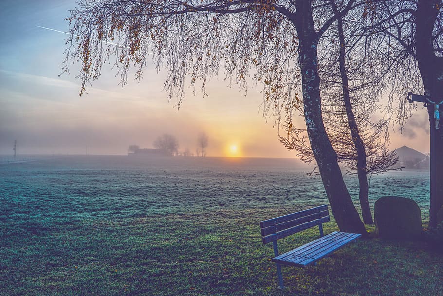 Foggy morning, blue bench near trees on field, sunset, sunrise HD wallpaper