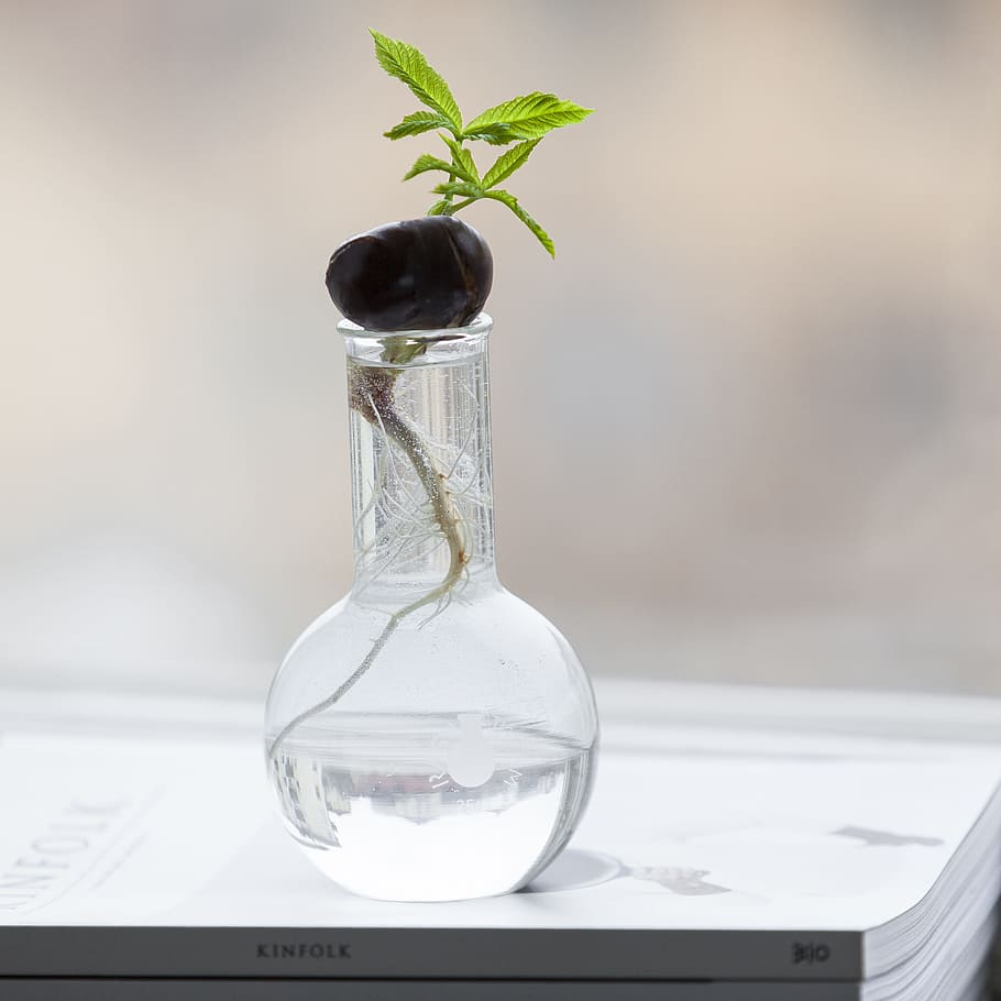 clear glass jar on book, clear glass vase, shallow focus, photo HD wallpaper