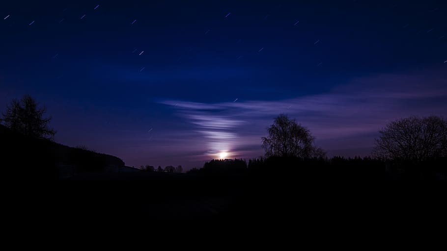 silhouette of trees during nighttime, silhouette of trees and sunset HD wallpaper