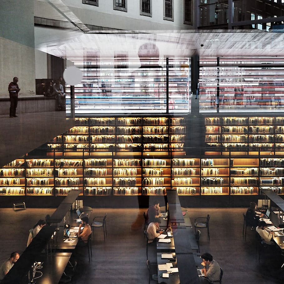 people in library, man wearing gray dress shirt sitting on black chair inside the room HD wallpaper