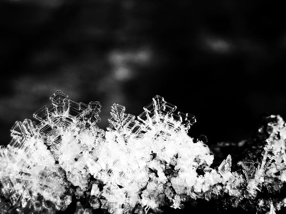 Crystals, Ice, Winter, Cold, macro, black And White, backgrounds HD wallpaper