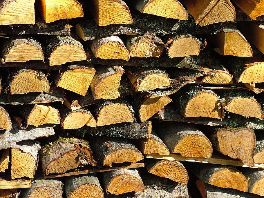 firewood, stack, tree, split, log, full frame, backgrounds HD wallpaper