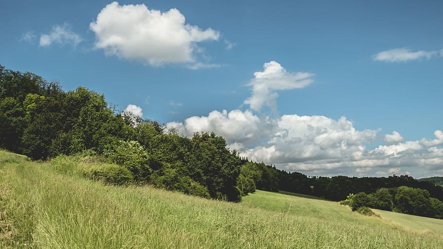 landscape, nature, sky, clouds, blue sky, countryside, field HD wallpaper