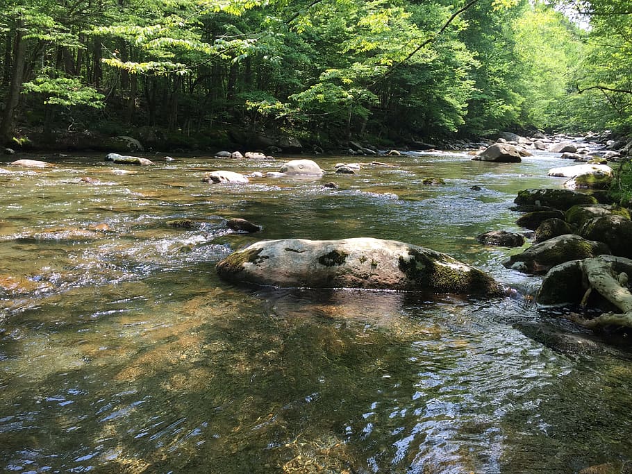 Stream, River, Nature, Water, Park, great smoky mountains national park HD wallpaper