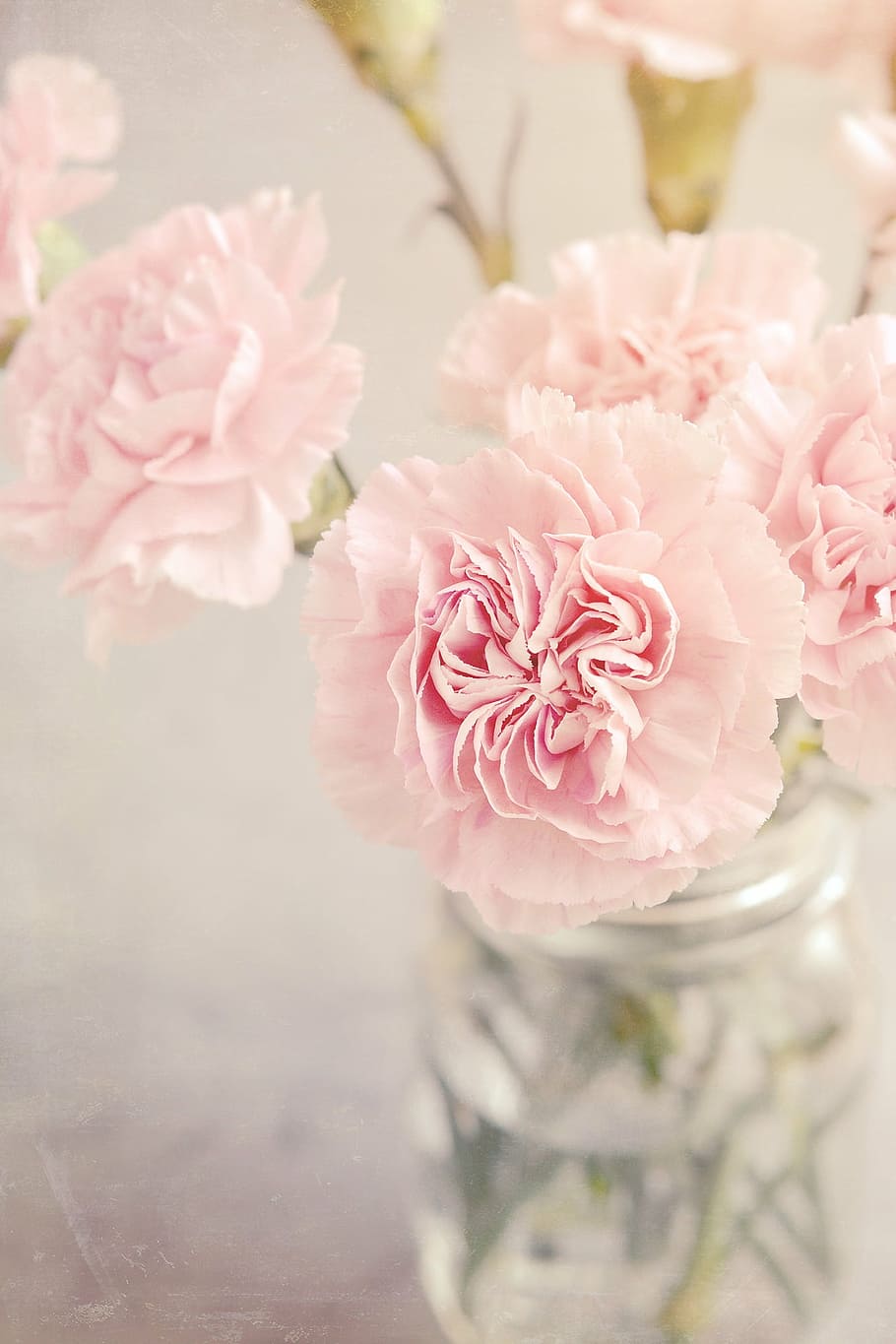 Page 3 Carnation Bouquet 1080p 2k 4k 5k Hd Wallpapers Free Download Wallpaper Flare