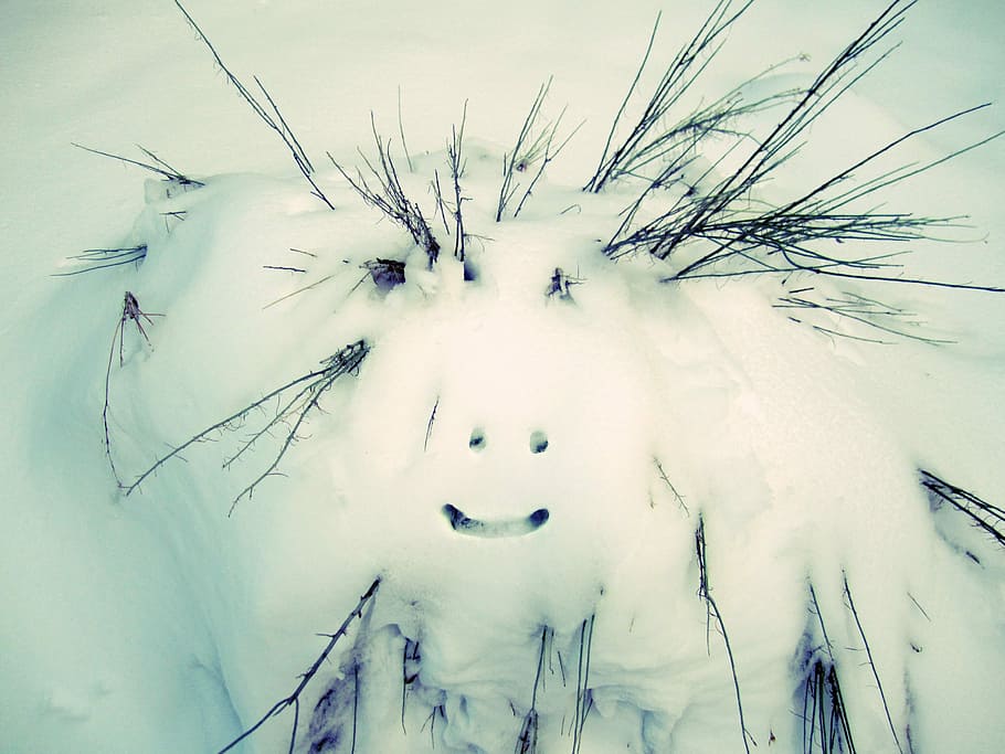 Snowman, Winter, Cold, White, nature, season, outdoor, park HD wallpaper