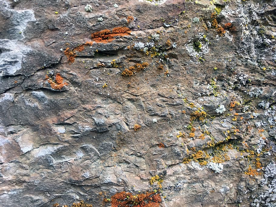 Texture, Rock, Stone, Fracture, Lichen, solid, hard, wall, gravel HD wallpaper