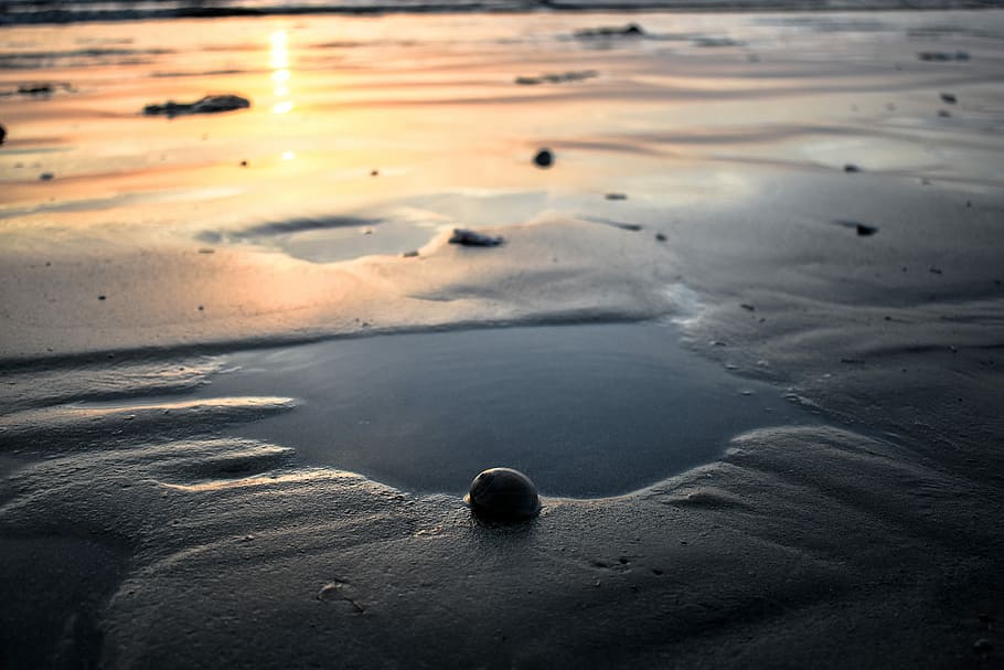 closeup photography of sand with water and stone, ice, beach HD wallpaper