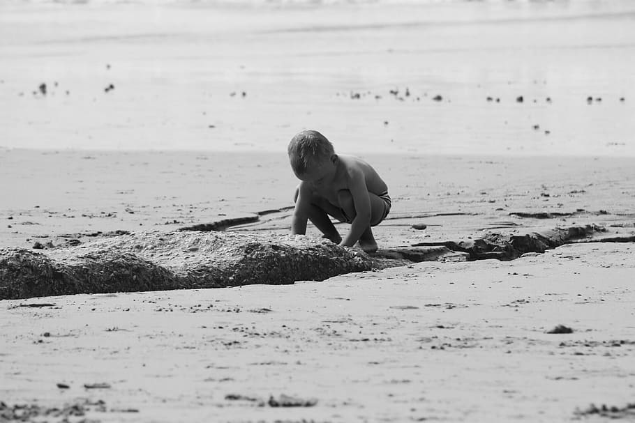 investigating, play, sand, beach, discovery, playing in the sand HD wallpaper
