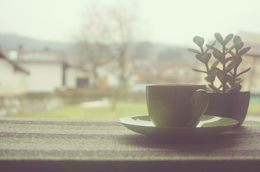 green ceramic teacup and saucer during daytime, coffee, window HD wallpaper