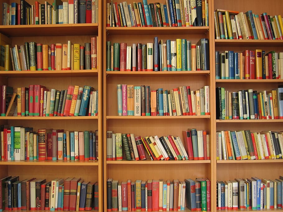 assorted learning books on brown wooden bookcase, bookshelf HD wallpaper