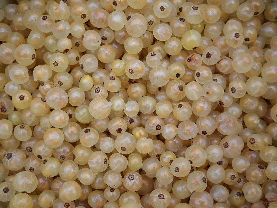 Berry, Fruit, Currant, White, Currants, white currants, sweet HD wallpaper