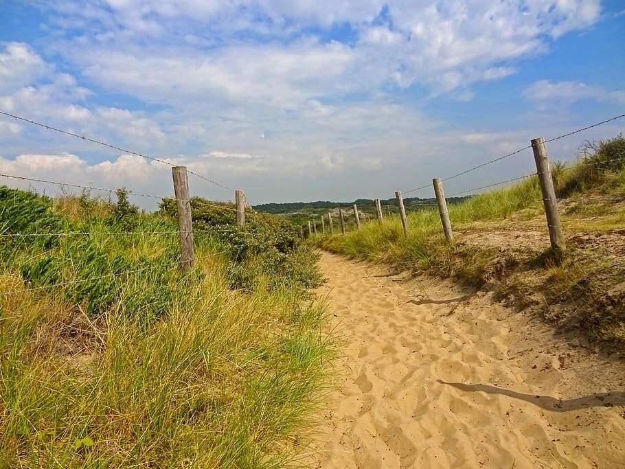 Away, Path, Dunes, summer, nature reserve, beach, north sea HD wallpaper