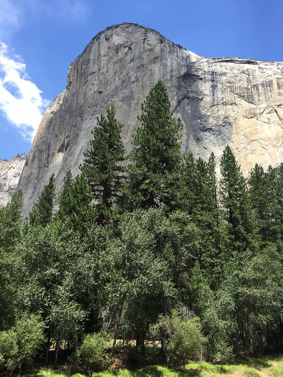 el, capitan, rock, wall, landscape, tree, plant, sky, mountain HD wallpaper