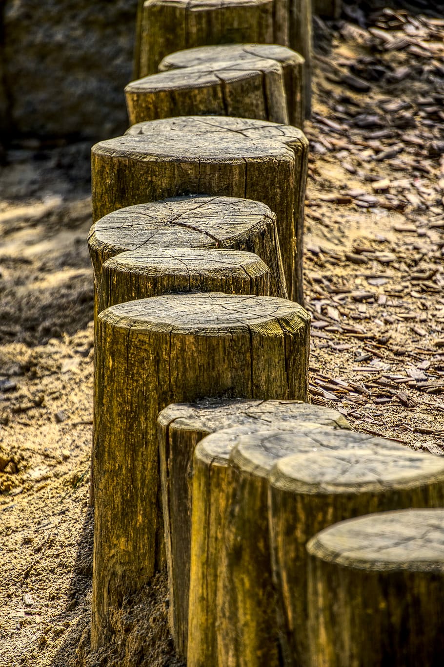 wood trunks, post, limit, mark, outline, framed, demarcation HD wallpaper