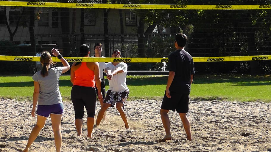 people playing volleyball at field, sport, beach volley, play ball, HD wallpaper