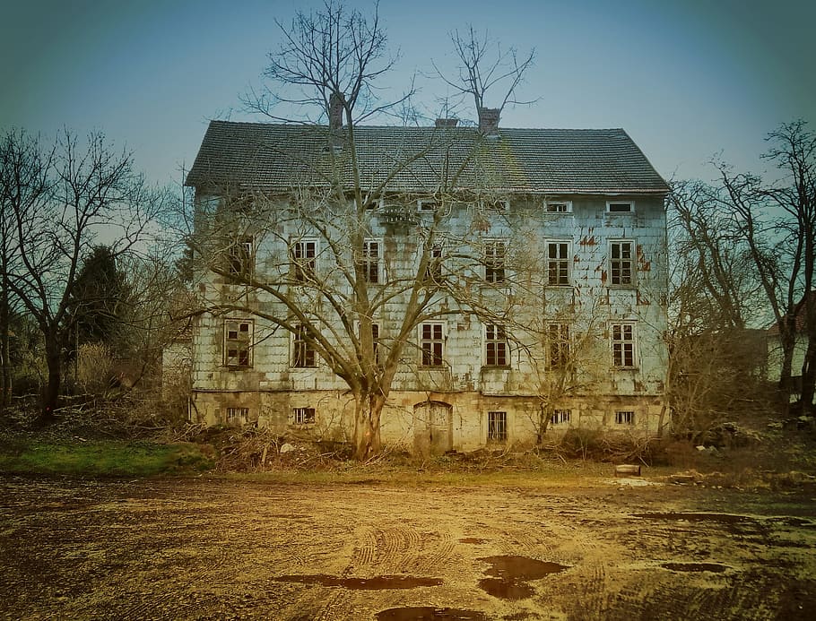 blue concrete house surrounded with leafless trees during daytime HD wallpaper