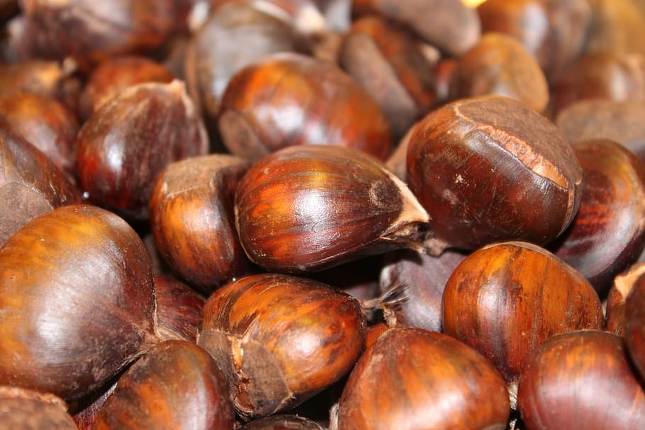 boiled, chestnuts, cooked, recipe, sweet, food, drink, food and drink HD wallpaper