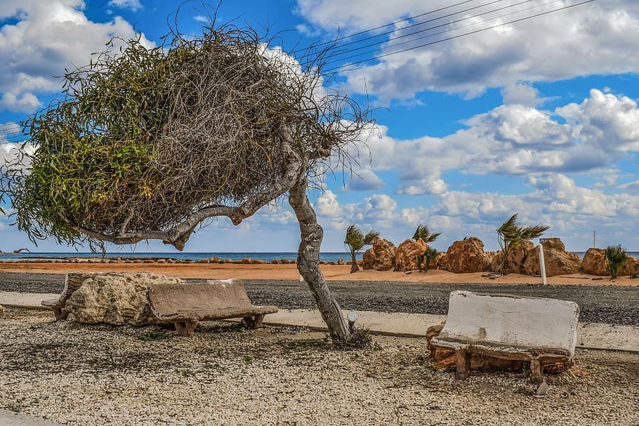 tree, bench, improvised, extemporary, scenery, beach, ayia thekla HD wallpaper