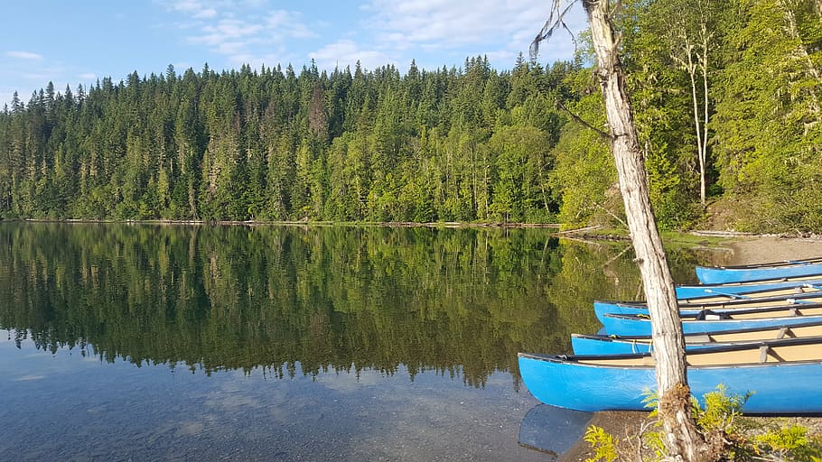 canada, canoe, river, reflection, lake, water, nature, canoeing HD wallpaper