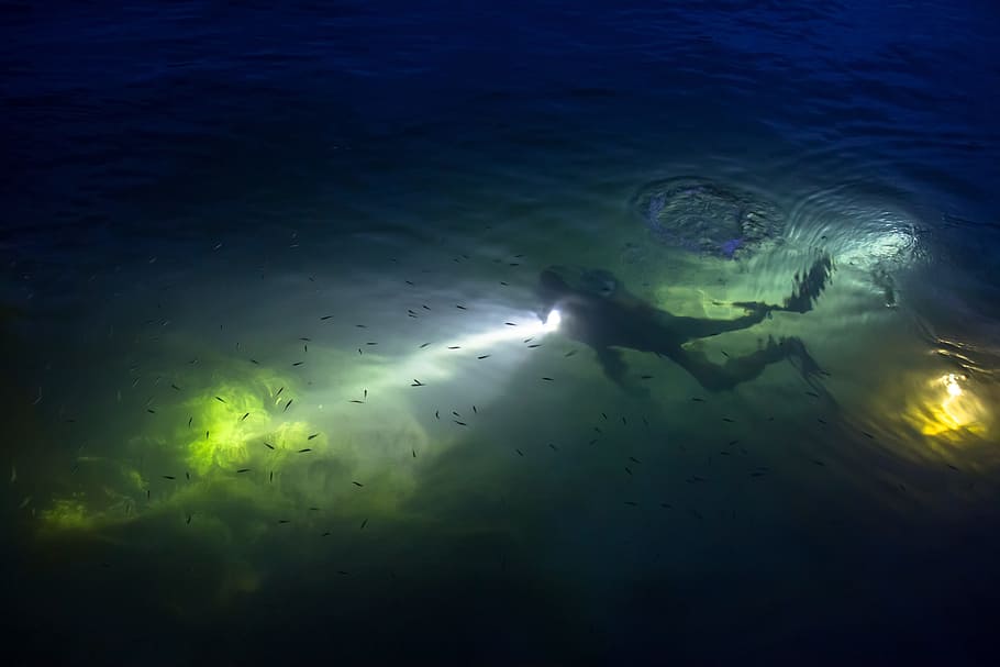 under water photography of person wearing flippers, diving HD wallpaper