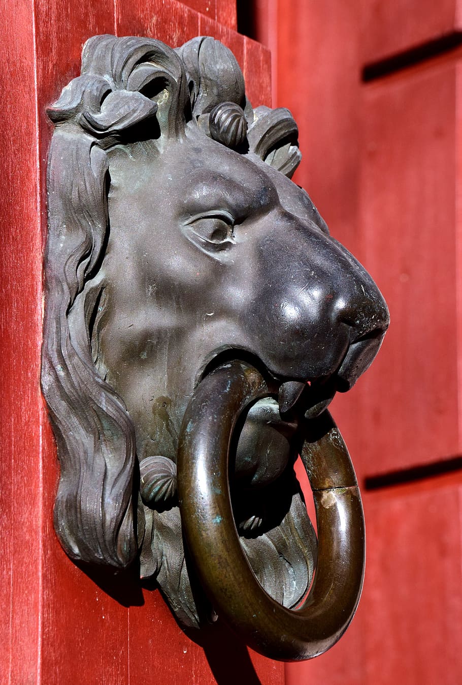 thumper, lion head, doorknocker, input, old, metal, handle HD wallpaper