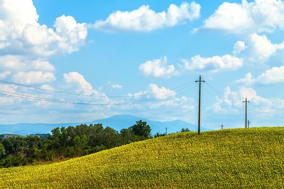 person taking photo of electric post, green, lawn, grass, hill HD wallpaper
