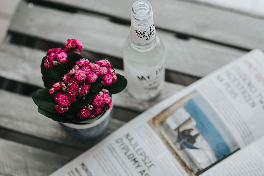Little pink flowers in a pot with various items, flora, table HD wallpaper