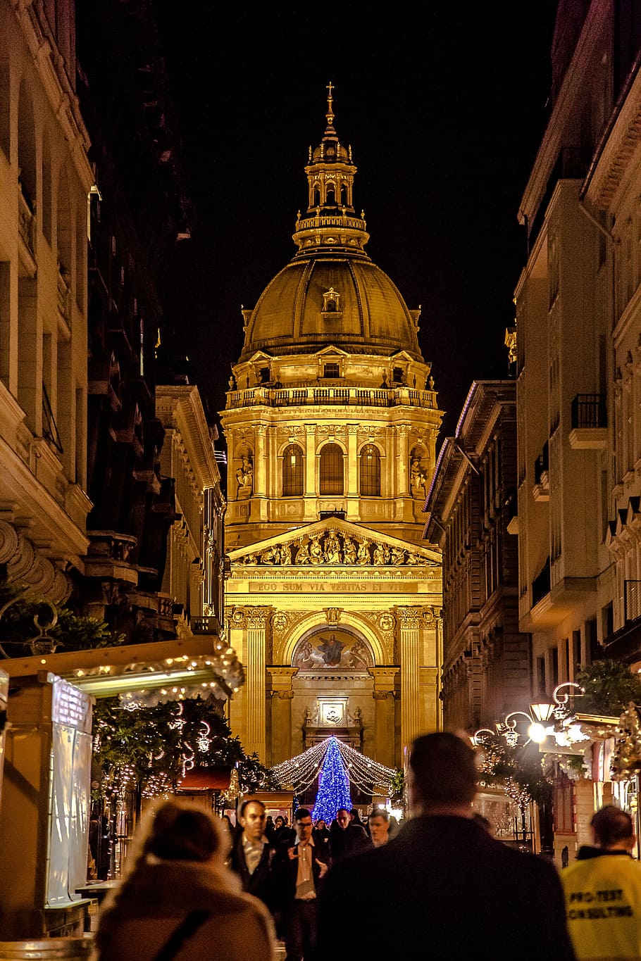 budapest, advent, fair, at night, light, christmas tree, pine HD wallpaper