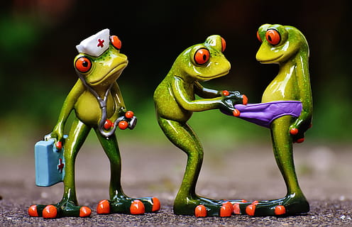 closeup photo of three frogs figurines, emergency, figures HD wallpaper