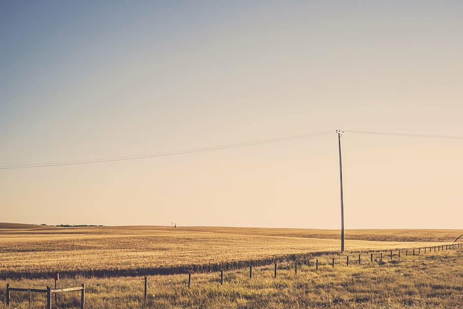 rural, fields, grass, power lines, sky, sunset, no people, nature HD wallpaper