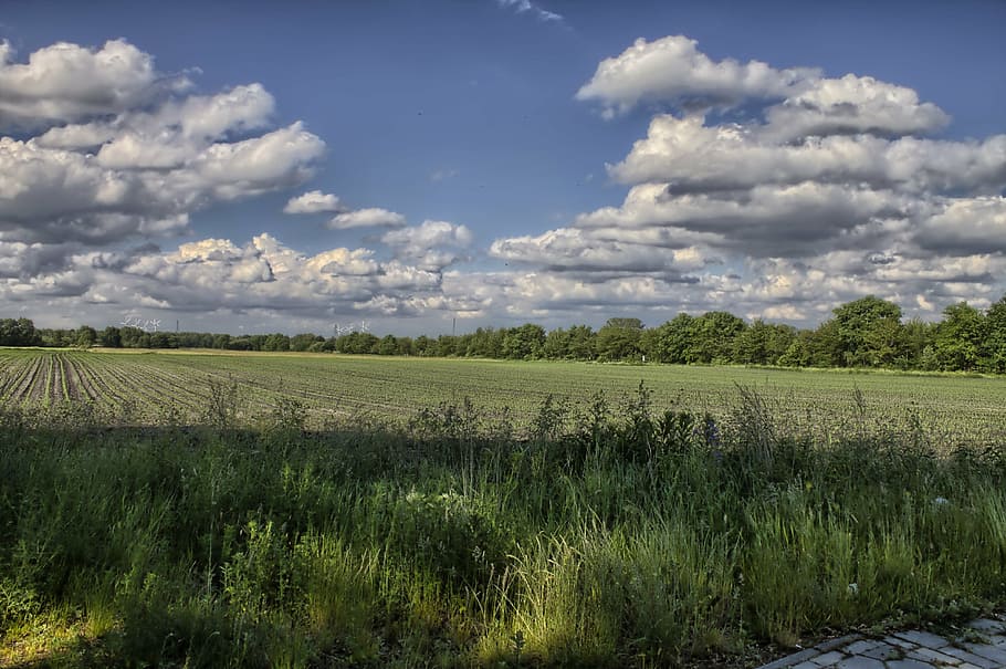landscape, clouds, field, sky, blue, plant, nice weather, nature HD wallpaper