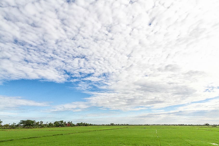 ines, sky, image view, cloud - sky, landscape, plant, beauty in nature HD wallpaper