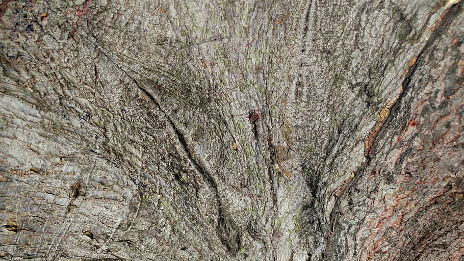 bark, wood, timber, lumber, tree, texture, abstract, pattern HD wallpaper