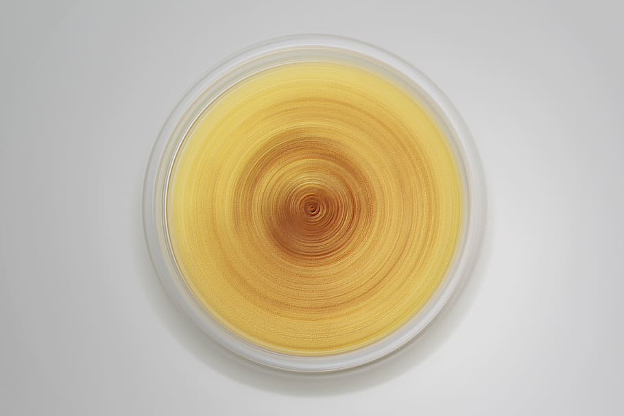 vortex, swirl, image, geometric shape, circle, no people, close-up HD wallpaper