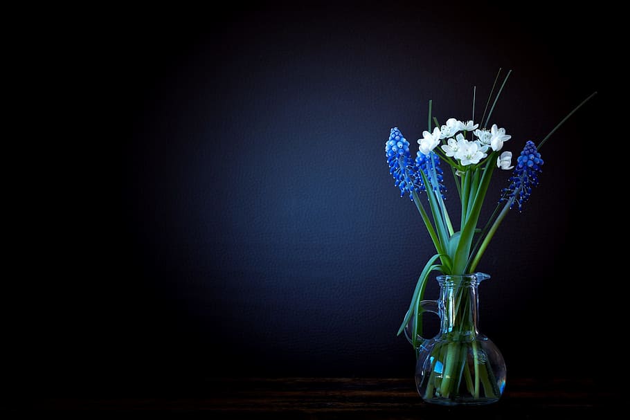 white and blue grape hyacinth flower centerpiece, flowers, vase, HD wallpaper