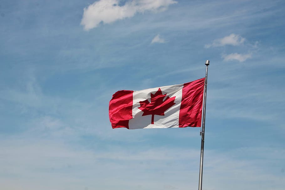 Canadian flag under the blue sky, canada, maple leaf, red flag HD wallpaper