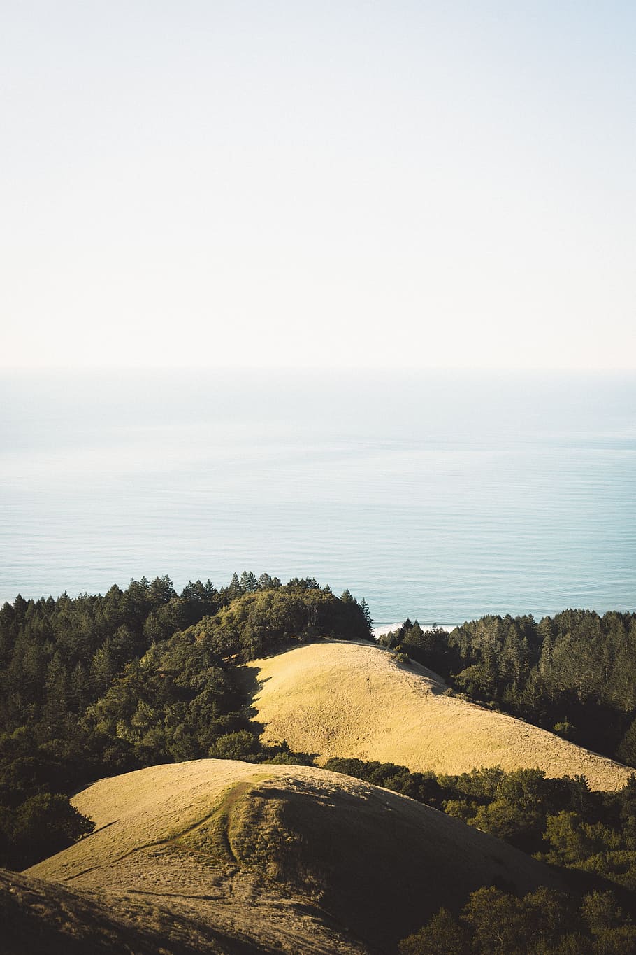 nature, green, ocean, sea, water, trees, mountain, peak, summit HD wallpaper