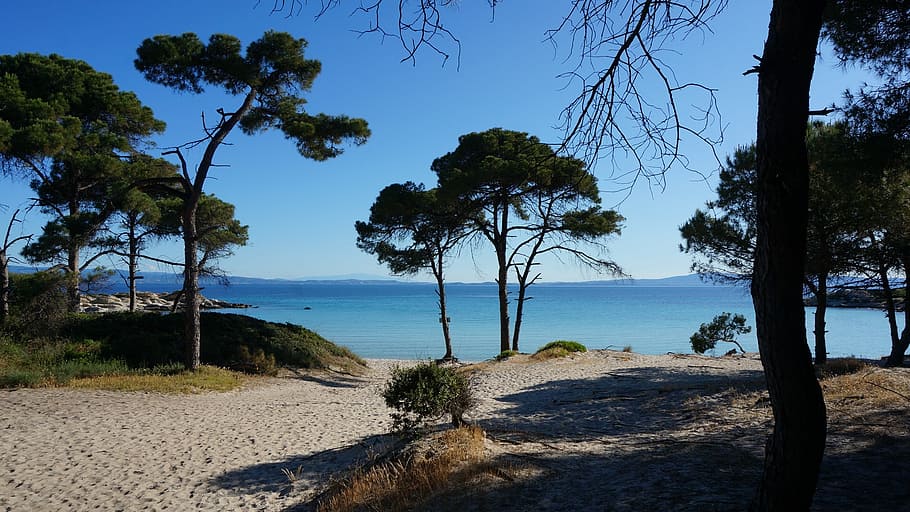 trees, beach, greece, coast, sea, water, summer, holiday, plant HD wallpaper