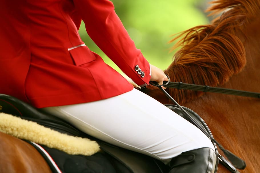 person riding horse, rider, races, horse riding, seat, detail