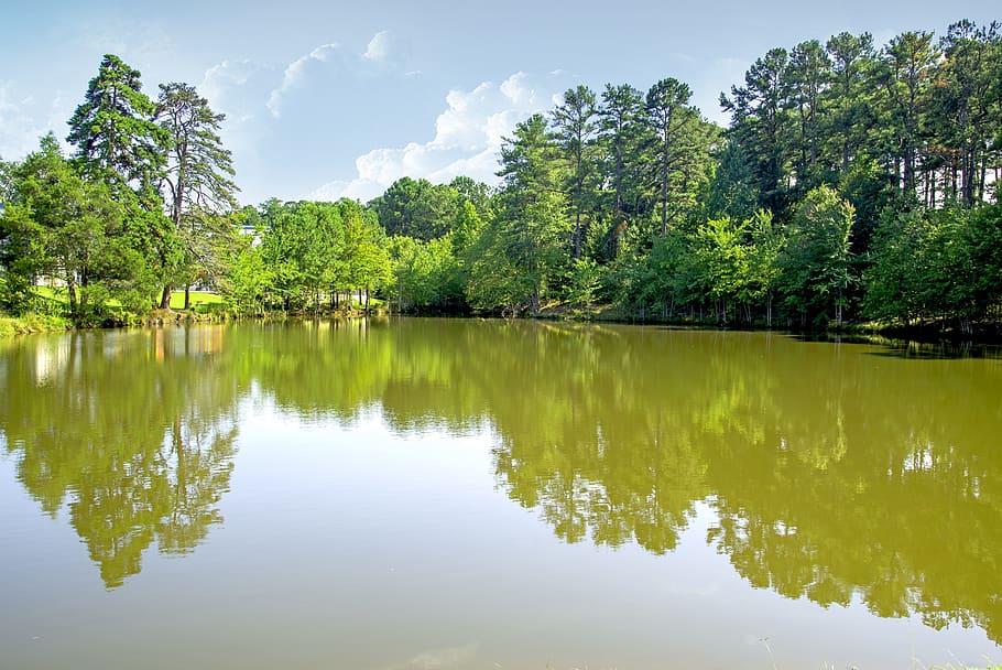 lake, green, water, sky, reflect, mirror, scenery, tree, peaceful HD wallpaper